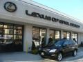 Black Onyx - RX 350 AWD Photo No. 1