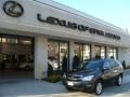 Smokey Granite - RX 350 AWD Photo No. 1