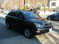 Smokey Granite - RX 350 AWD Photo No. 3