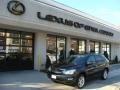 Smokey Granite - RX 350 AWD Photo No. 1