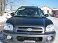 2006 Black Obsidian Hyundai Santa Fe GLS 3.5  photo #17