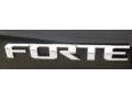 Ebony Black - Forte EX Photo No. 9