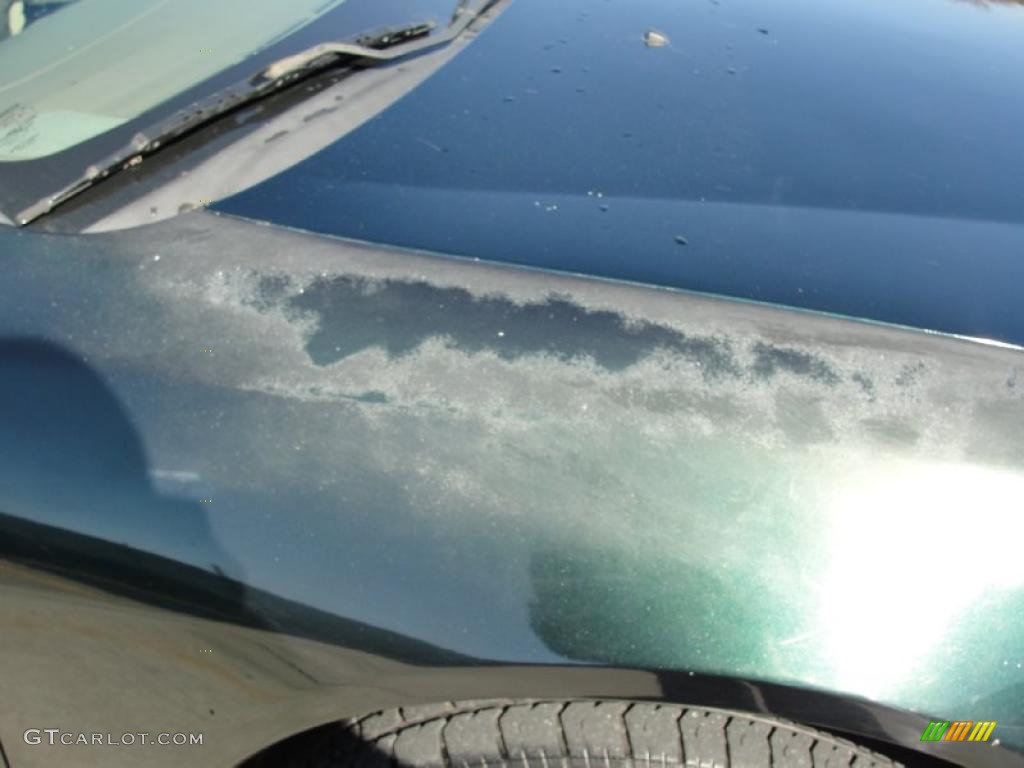 1998 Accord EX V6 Sedan - Dark Emerald Pearl / Ivory photo #16