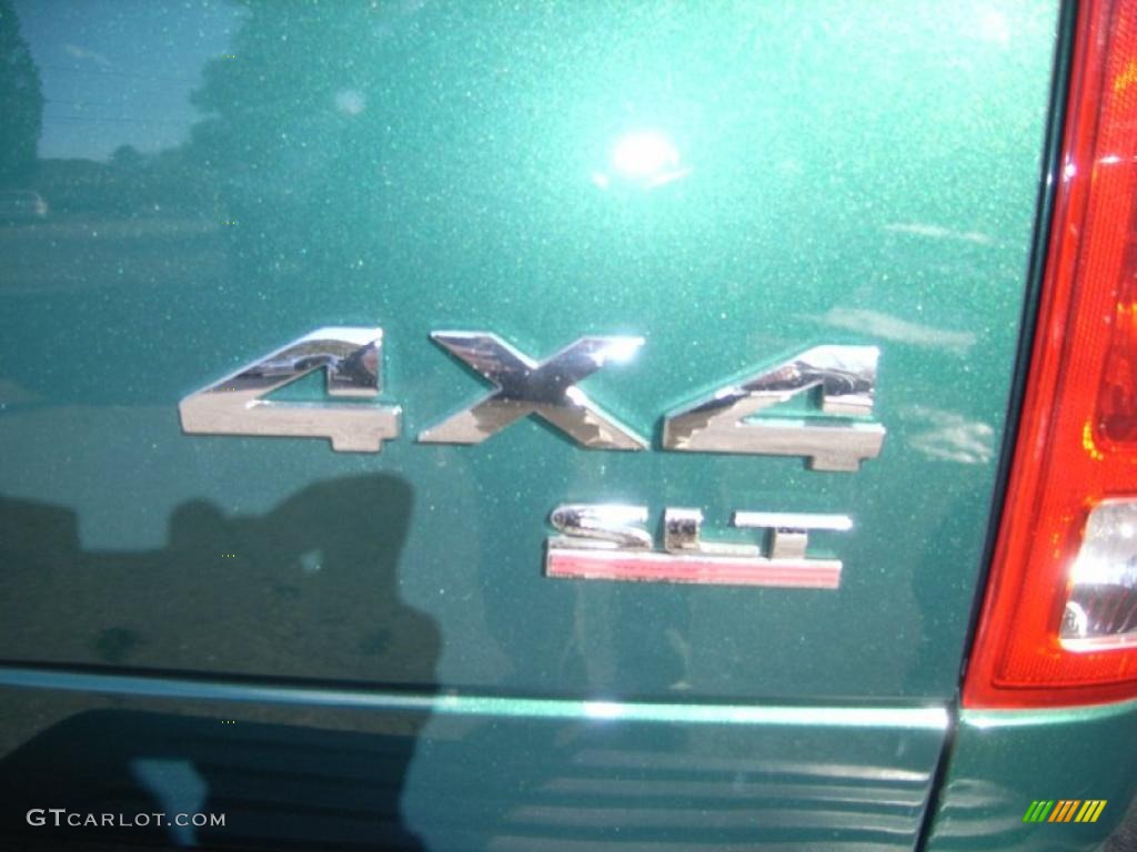 2003 Ram 1500 SLT Quad Cab 4x4 - Timberline Green Pearl / Taupe photo #6