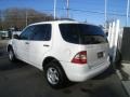 Polar White - ML 320 4Matic Photo No. 3