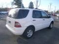 Polar White - ML 320 4Matic Photo No. 5