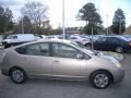 Driftwood Pearl - Prius Hybrid Photo No. 7