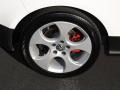 2009 Volkswagen GTI 2 Door Wheel and Tire Photo