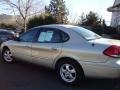 2005 Gold Ash Metallic Ford Taurus SE  photo #2