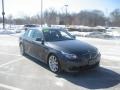 Platinum Grey Metallic 2010 BMW 5 Series 550i Sedan Exterior