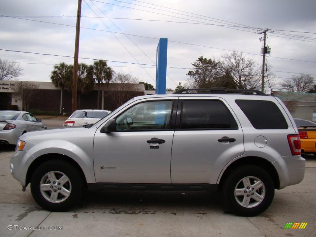 Ingot Silver Metallic 2010 Ford Escape Hybrid Exterior Photo #45225741