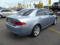 Meteor Silver Metallic - TSX Sedan Photo No. 6