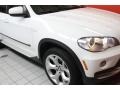 Alpine White - X5 4.8i Photo No. 16