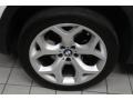 Alpine White - X5 4.8i Photo No. 24