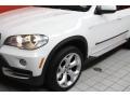 Alpine White - X5 4.8i Photo No. 26