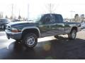 Emerald Green - Dakota SLT Extended Cab 4x4 Photo No. 5