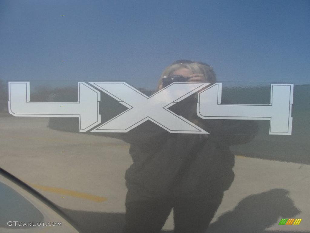 2011 Ford F150 Platinum SuperCrew 4x4 Marks and Logos Photo #45256926