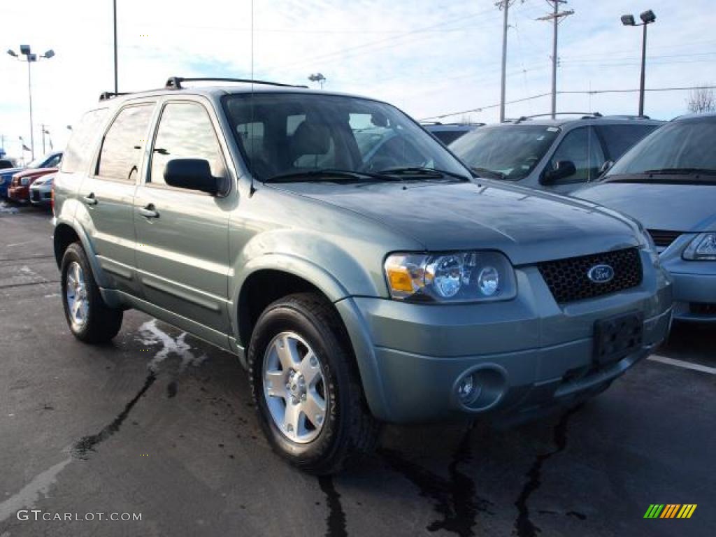 2006 Escape Limited 4WD - Titanium Green Metallic / Medium/Dark Pebble photo #2