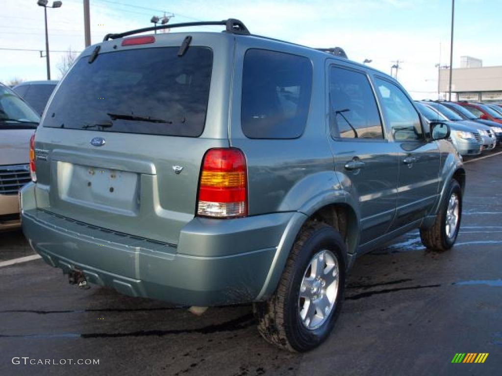 Titanium Green Metallic 2006 Ford Escape Limited 4WD Exterior Photo #45258103