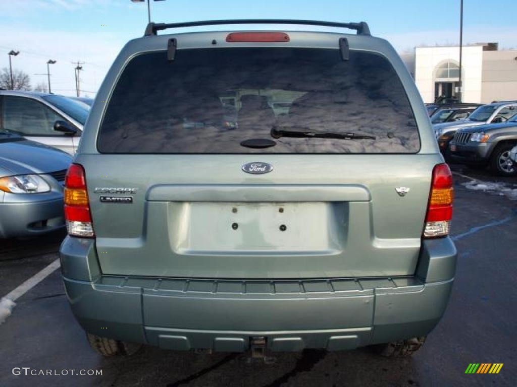 2006 Escape Limited 4WD - Titanium Green Metallic / Medium/Dark Pebble photo #6