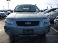 2006 Titanium Green Metallic Ford Escape Limited 4WD  photo #8