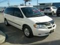 2002 Stone White Dodge Grand Caravan Sport  photo #10