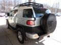 Titanium Metallic - FJ Cruiser 4WD Photo No. 4