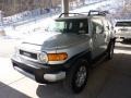 Titanium Metallic - FJ Cruiser 4WD Photo No. 5