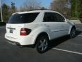 Arctic White - ML 350 4Matic Photo No. 31