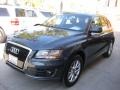 2009 Meteor Gray Pearl Effect Audi Q5 3.2 Premium quattro  photo #7