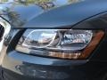 2009 Meteor Gray Pearl Effect Audi Q5 3.2 Premium quattro  photo #22