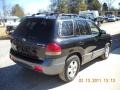 Black Obsidian - Santa Fe GLS 4WD Photo No. 5