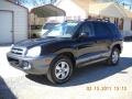 Black Obsidian - Santa Fe GLS 4WD Photo No. 8