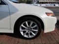 Premium White Pearl - TSX Sedan Photo No. 11