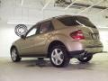 Sand Beige Metallic - ML 350 4Matic Photo No. 8