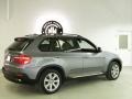 2007 Mineral Green Metallic BMW X5 4.8i  photo #5