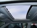 Dark Slate Gray Sunroof Photo for 2009 Dodge Charger #45276269