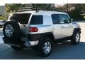 Titanium Metallic - FJ Cruiser 4WD Photo No. 12