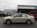 2010 Smokestone Metallic Ford Fusion SEL V6  photo #2