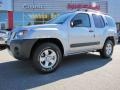 Silver Lightning - Xterra S Photo No. 1