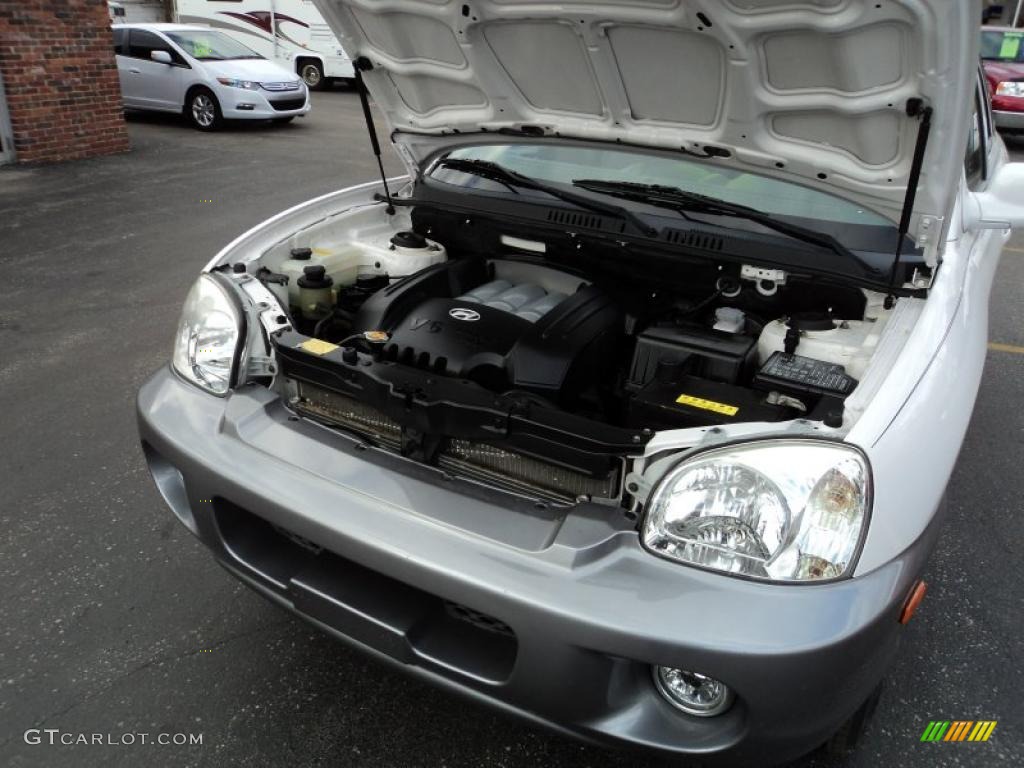 2003 Hyundai Santa Fe GLS 4WD 2.7 Liter DOHC 24-Valve V6 Engine Photo #45295601