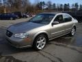 2000 Sterling Mist Metallic Nissan Maxima SE  photo #2