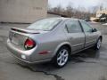 2000 Sterling Mist Metallic Nissan Maxima SE  photo #7