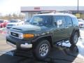 2011 Army Green Toyota FJ Cruiser 4WD  photo #1