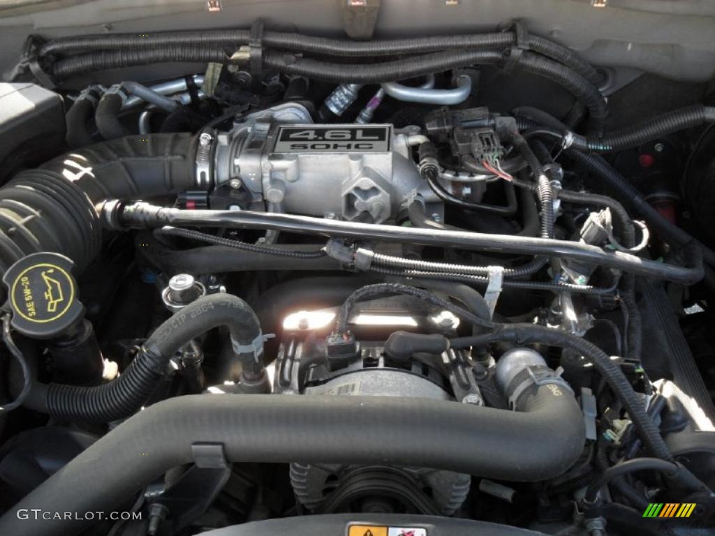 2005 Ford Explorer Eddie Bauer 4.6 Liter SOHC 16-Valve V8 Engine Photo #45302249