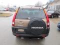 2003 Mojave Mist Metallic Honda CR-V EX 4WD  photo #6