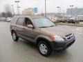 2003 Mojave Mist Metallic Honda CR-V EX 4WD  photo #7