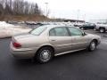 Light Bronzemist Metallic - LeSabre Custom Photo No. 6