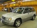 Silverthorn Metallic - Forester S Photo No. 1