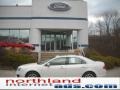 2010 White Suede Ford Fusion SEL V6  photo #1